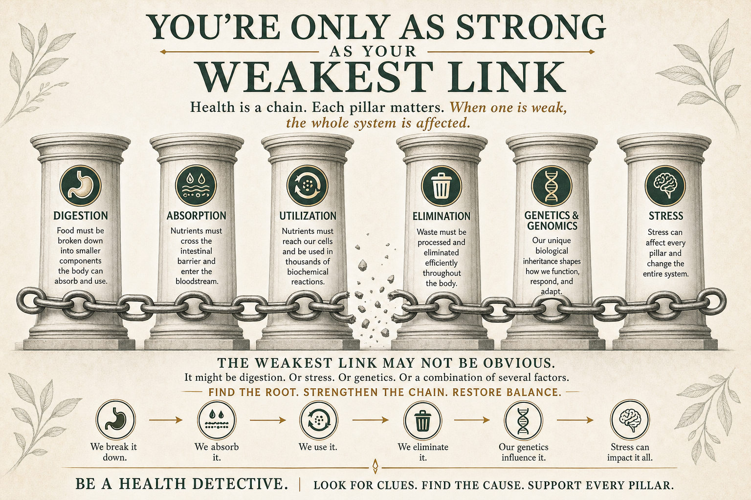 The six connected health pillars—digestion, absorption, utilization, elimination, genetics and genomics, and stress—shown as links in one chain